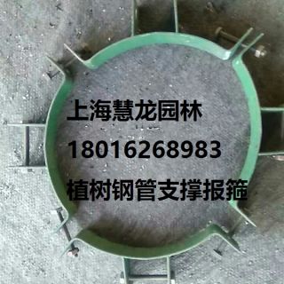 大樹報(bào)箍，植樹支撐報(bào)箍，鋼支撐報(bào)箍